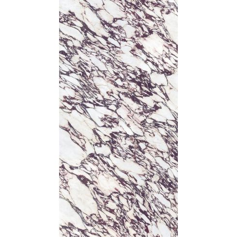 Calacatta Viola