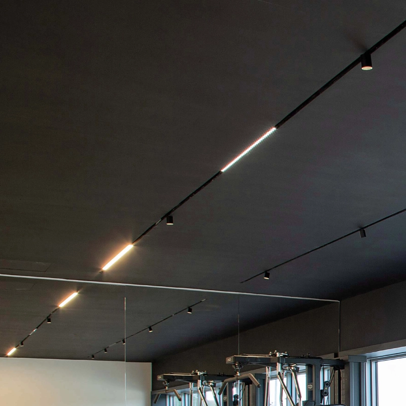 Track Lights