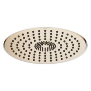 Shower Head With 2 Functions And Without Lights