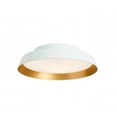 Boop Indoor Wall/ Ceiling Light