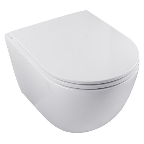Envoy Wall Mounted Rimless WC And Seat