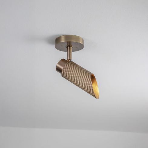 Spot Pro Indoor Ceiling Light/Wall Light