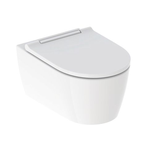 One Wall Mounted Rimless WC And Seat