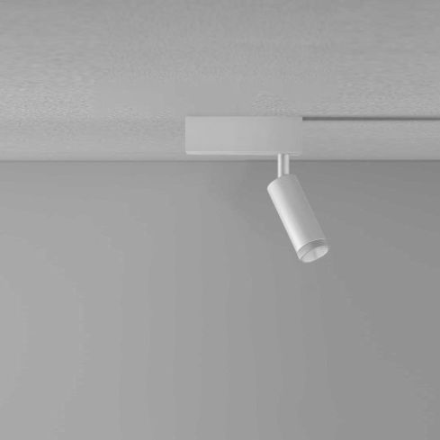 Beam Master Indoor Ceiling Lamp