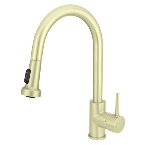 M-Line Kitchen Sink Mixer With Pull Out Shower