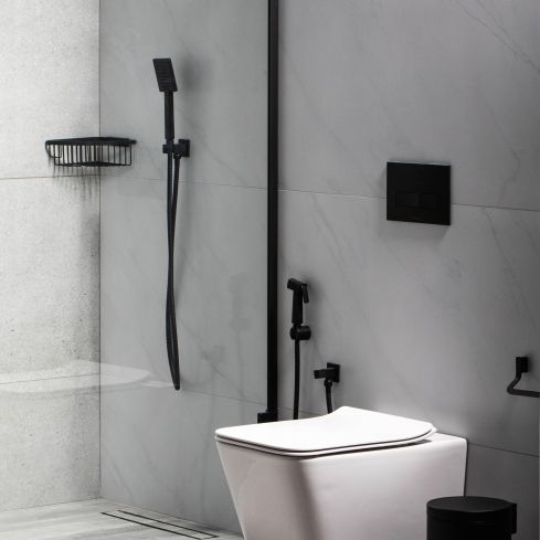 Zephyr Wall Mounted WC with Soft Close Slim Seat and Cover