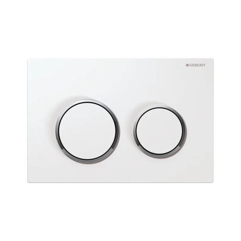 Omega20 Dual Flush Plate