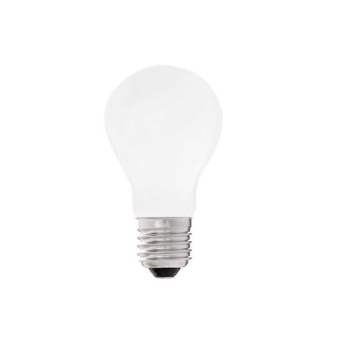 Matt Indoor LED Bulb 4W