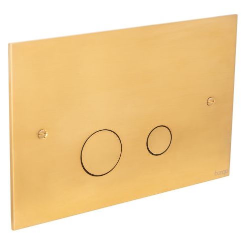 Dual Flush Plate