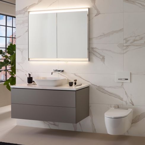 One Wall Mounted Rimless WC And Seat