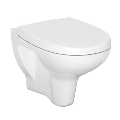 Arteco Wall Mounted Rimless Wc And Seat