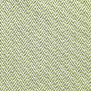 Canaria Lime 