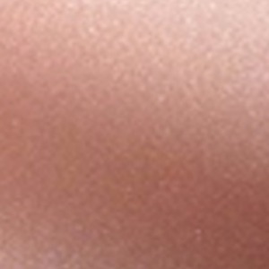 Armour Lip Gloss finish